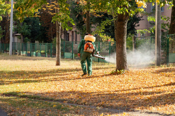 Wildlife Control Services in West Liberty, OH